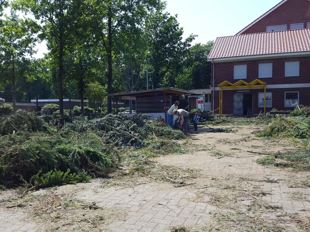 ../fotos/weltrekordversuch_ostrhauderfehn_2019/2019-06-14 14.46.58.jpg